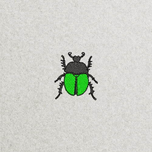 Beetle