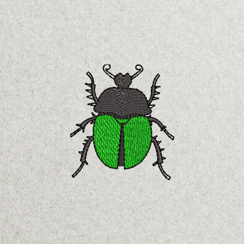 Beetle